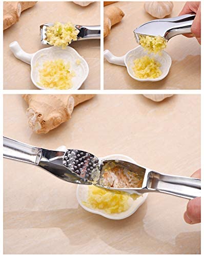 Stainless Steel Garlic Press, Garlic Peeler Crusher and Mincer with Sturdy  Design Professional Peeler Easy Squeeze Food Grade Rust proof Easy Squeeze  and Clean Dishwasher Safe Ergonomic Comfort Handle-FeiLiFan Direct